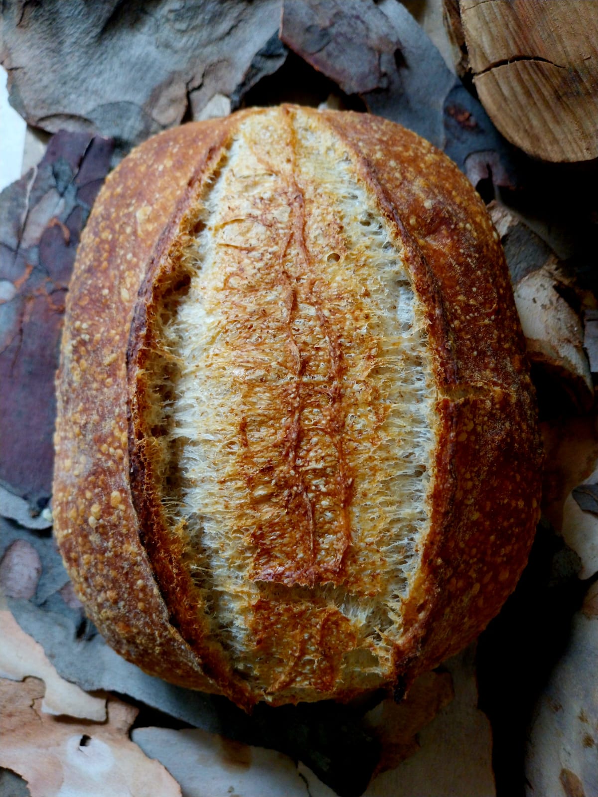 Pão de caçador artesanal, casca firme e miolo úmido