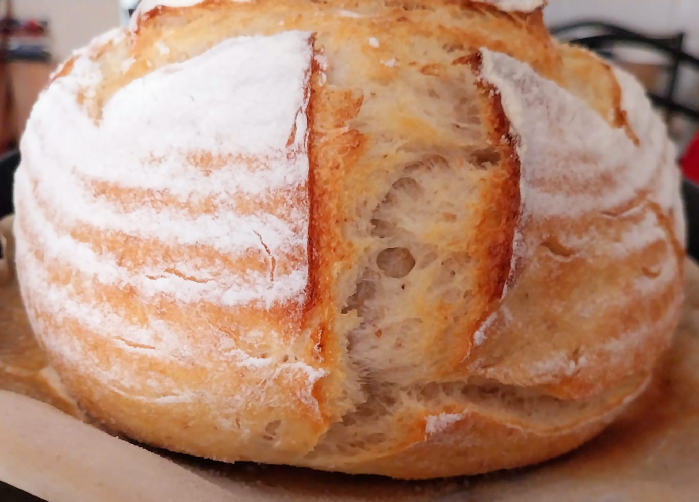 Pão Saloio artesanal, casca marcada e miolo úmido